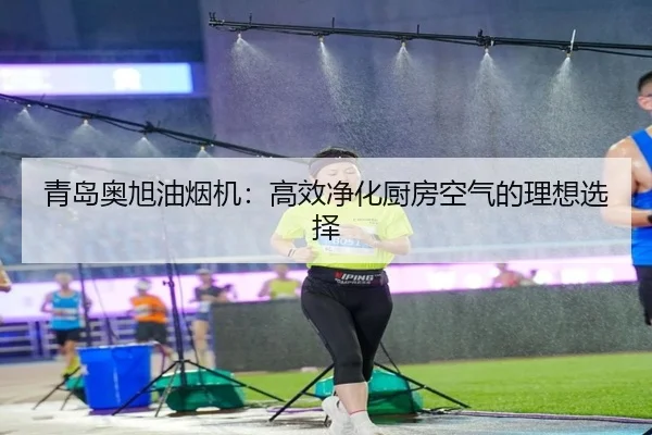 青岛奥旭油烟机：高效净化厨房空气的理想选择