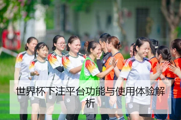 世界杯下注平台功能与使用体验解析