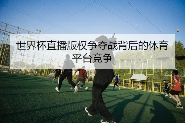 世界杯直播版权争夺战背后的体育平台竞争