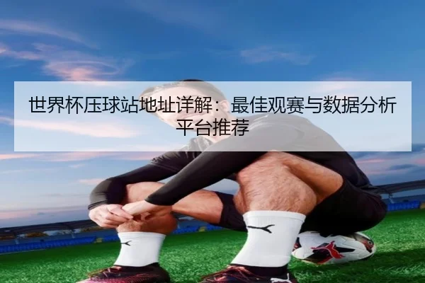 世界杯压球站地址详解：最佳观赛与数据分析平台推荐